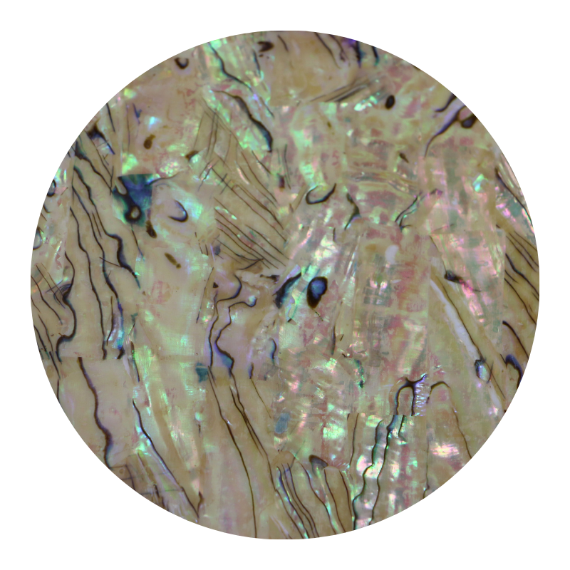 VUPXL240_60291035-9a44-45c2-99e4-9826be941d7b - SHELL VENEER UNCOATED - PAUA EXTRA LIGHT - OCEAN SHELL STUDIOS