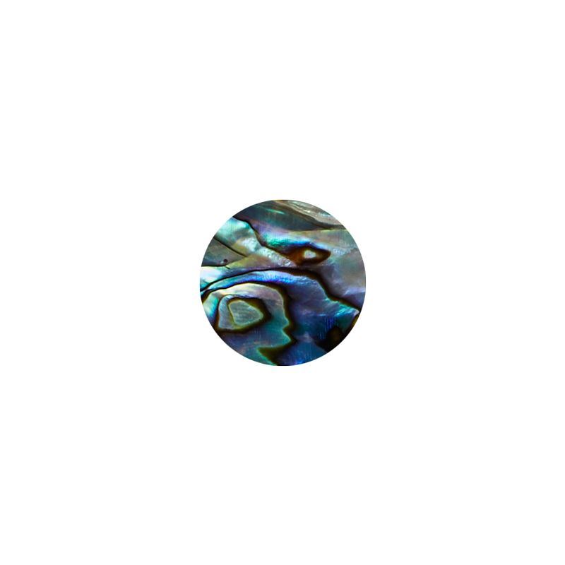 Paua shell veneer circle with layered iridescent blue and green lines